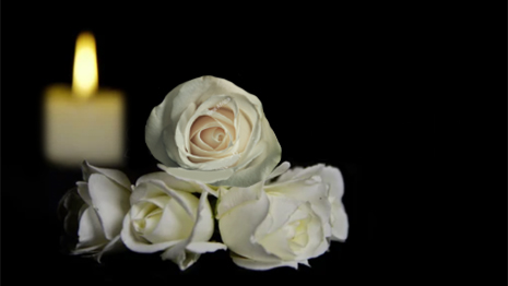 Memorial Flowers are Beautifully Preserved in Our Tealight