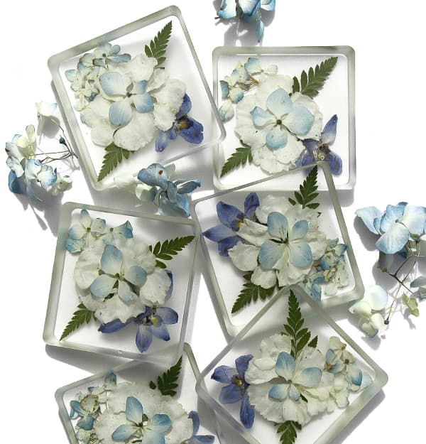 Beautiful Hydrangea Coasters