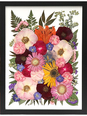 pressed flower preservation