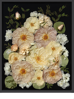 3D Resin Flower Frames